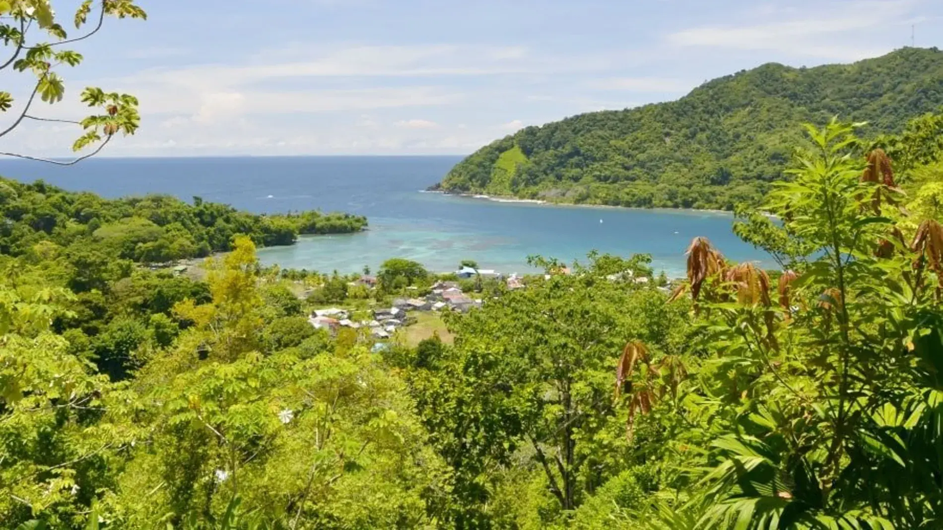 Viajes maragar ibague turismo, pasadias, transporte en ibagué, colombia
